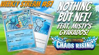 Misty's Gyarados Gameplay! Weekly Stream #37