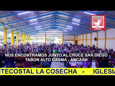 CAMPAÑA Y CENA DOMINGO 14-06-2026