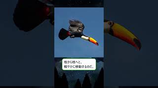 眠る前に聞く、オニオオハシのお話 ＃動物 ＃鳥類 ＃寝落ち＃癒し ＃ずんだもん