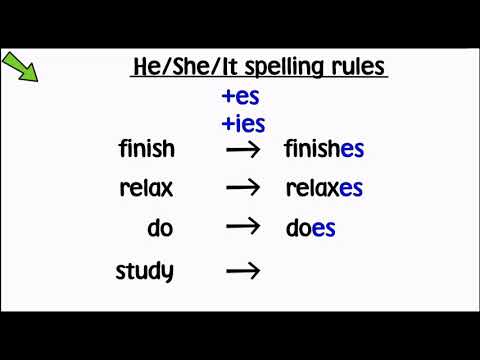 Present simple positive and negative