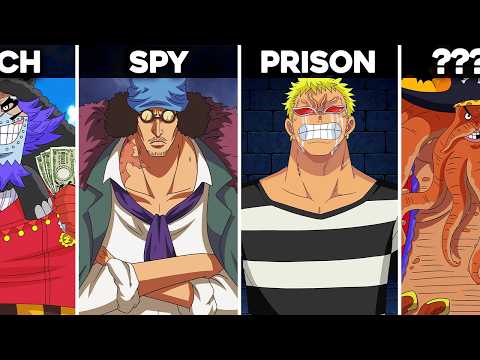 Where Are Luffy's Enemies Now?