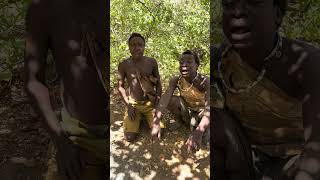Download lagu Hadzabe Tribe Live Bamia Song — Dudukwe & Chaaba Performance! 🎶🔥 #hadzabe mp3