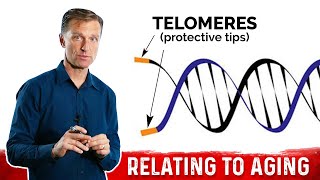 What Are Telomeres & Why They Are Important in Anti-Aging – Dr.Berg on Telomeres and Aging