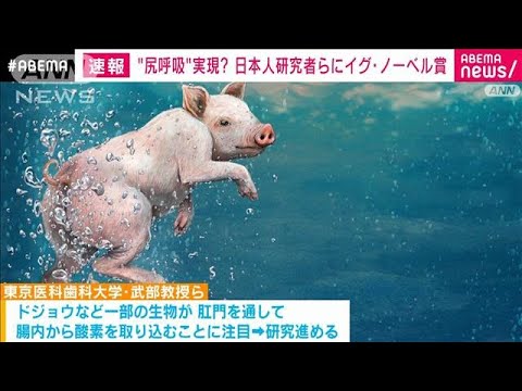生物時計仕掛けの洞察に対するノーベル賞