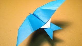 How to Make a Paper Plane / Origami Bird / Leach's Storm Petrel