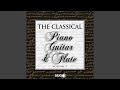 Symphony No. 25 in G Minor, K 183: I. Allegro