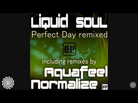 Liquid Soul - Perfect Day (Normalize Remix)