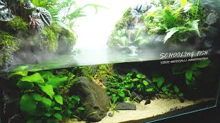 Stepped Waterfall Aquaterrarium for SCHOOLING FISH Paludarium l stepbystep