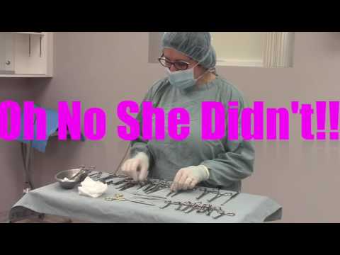 Instrument tech in vet clinic veterinary technician educatio...