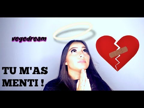 Tu M'as MENTI - Vegedream ( cover by DJENA DELLA )