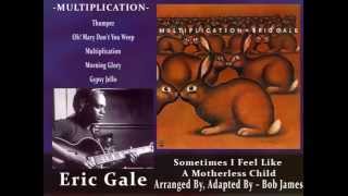 Eric Gale - Sometimes I Feel Like A Motherless Child