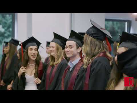 Study International Relations at Modul University Vienna!