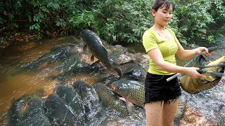 Download lagu I Caught the Biggest Fish in the Forest | Using Fishing Techniques and Building Fish Traps mp3