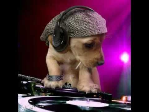 Session House Dj Gil part1