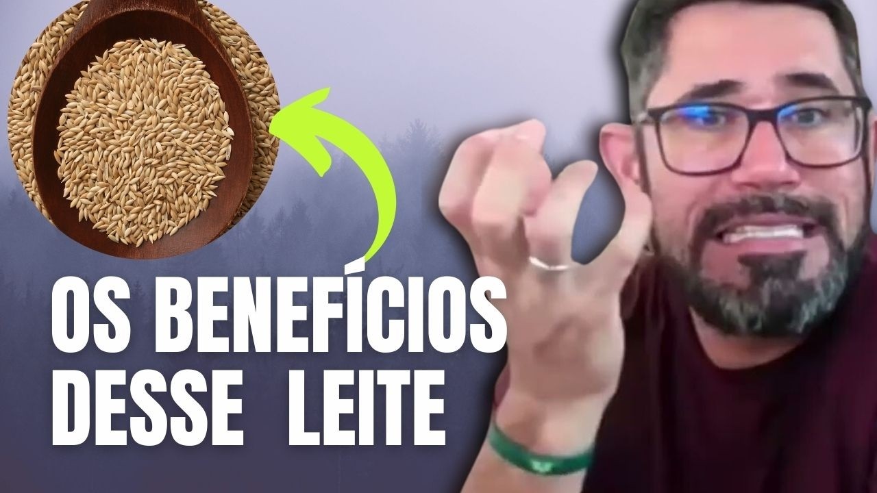 LEITE DE ALPISTE: CONHEÇA OS BENEFÍCIOS DESSE LEITE