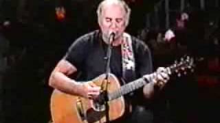 Jimmy Buffett - Cowboy In The Jungle