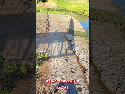 Pegadas de Dinossauros - Sousa, PB