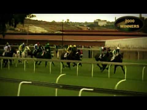 2010 SA DERBY (Grade 1)