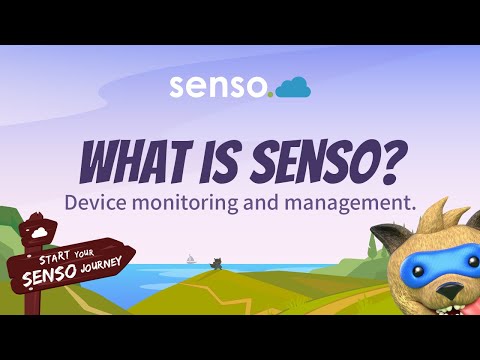 What Is Senso?