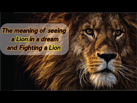 The Meaning of seeing a Lion in a dream |  Fighting with lion in dream islam