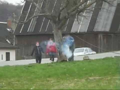 Lustiges Baum fällen Funny tree cut