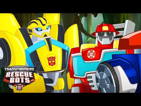 Meet Bumblebee ⚠️ | Transformers: Rescue Bots | Kids Cartoon | Transformers Kids
