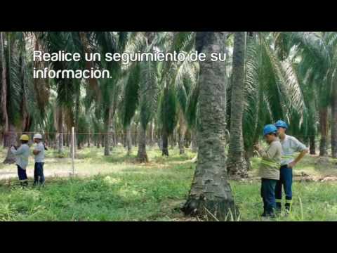 AgroLevels SGI Palmas Video
