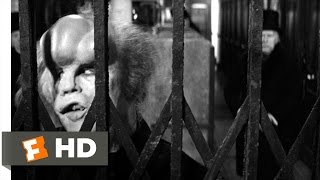 The Elephant Man (10/10) Movie CLIP - I Am a Human Being! (1980) HD