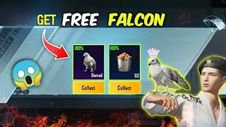 HOW TO GET FREE FALCON IN PUBGM 🔥 HOW TO GET FREE COMPANION IN BGMI 🔥 FREE FALCON EVENT IN BGMI+PUBG