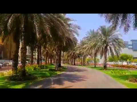 Al Muteena Park | Nostalgic park | Hor al Anz | Deira/MUTEENA PARK / MUTEENA DUBAI PARK /