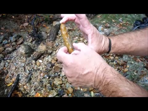 A New Creek Pays Off Video