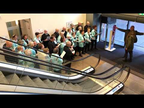 SLK De Kleppers - ‘Oh Johnny’ (verrassingsoptreden voor John van Blijderveen 23-11-2022)