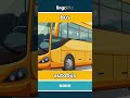 bus - autobús video thumbnail