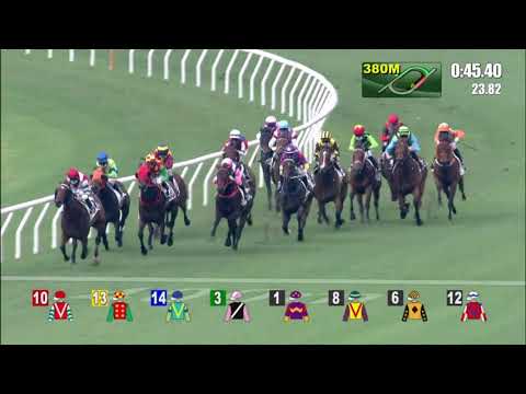 5/4/2021 (558) Trader - Z Purton