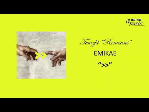 Temzki - ff (feat. Emikae)