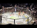 Sean Omalley Vs Raulian Paiva Rd 3 KO
