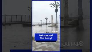 أمطار ورياح قوية في مدينة أصيلة‎ thumbnail