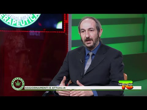 Cannabis terapeutica: aggiornamenti e attualità 01.04.2021