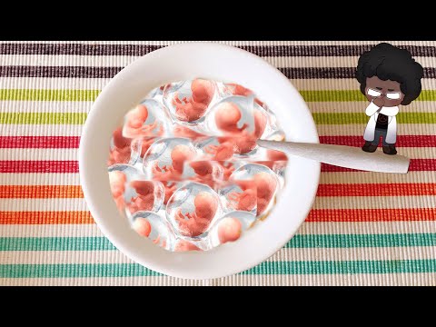 Here you go Hun, your favorite Cereal - SCP 2504