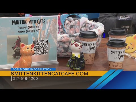 Purr-fect Times at the Smitten Kitten Cat Cafe - 11/25/25 - YouTube