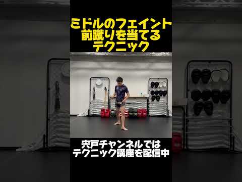 ミドルキックのフェイントで前蹴りを当てるムエタイのテクニック！~反応が良い相手ほど当たりやすい~ #shorts