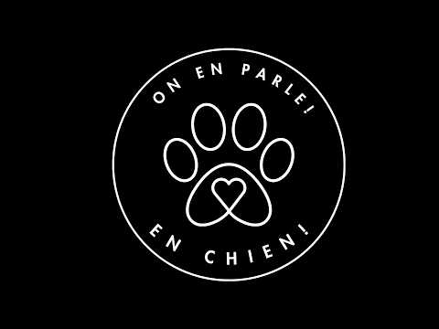 Épisode 7: Le bodywork et la massothérapie canine avec Audrey Allard