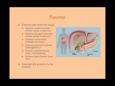 Pancreatitis - CRASH! Medical Review Series