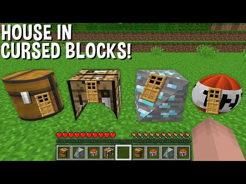 NEVER repeat this STRANGEST HOUSE in CURSED BLOCKS in Minecraft !!!