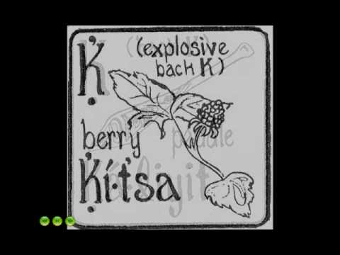 Learn the Quileute Alphabet