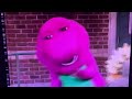 Barney S Good Day And Night What Makes A Flower So Pretty