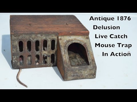 Antique 1876 Delusion Live Catch Mouse Trap In Action. mousetrapmonday Video