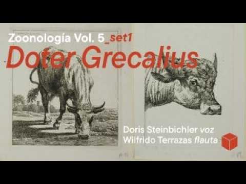 Zoonología, vol. 5: Doter Grecalius (Set #1) | Free improv and sound experimentation @ Kubo Coyoacán