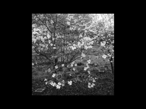 Cold Weather Gear - The Menzingers