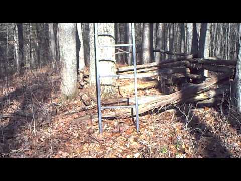 Dunhams Tree Stand